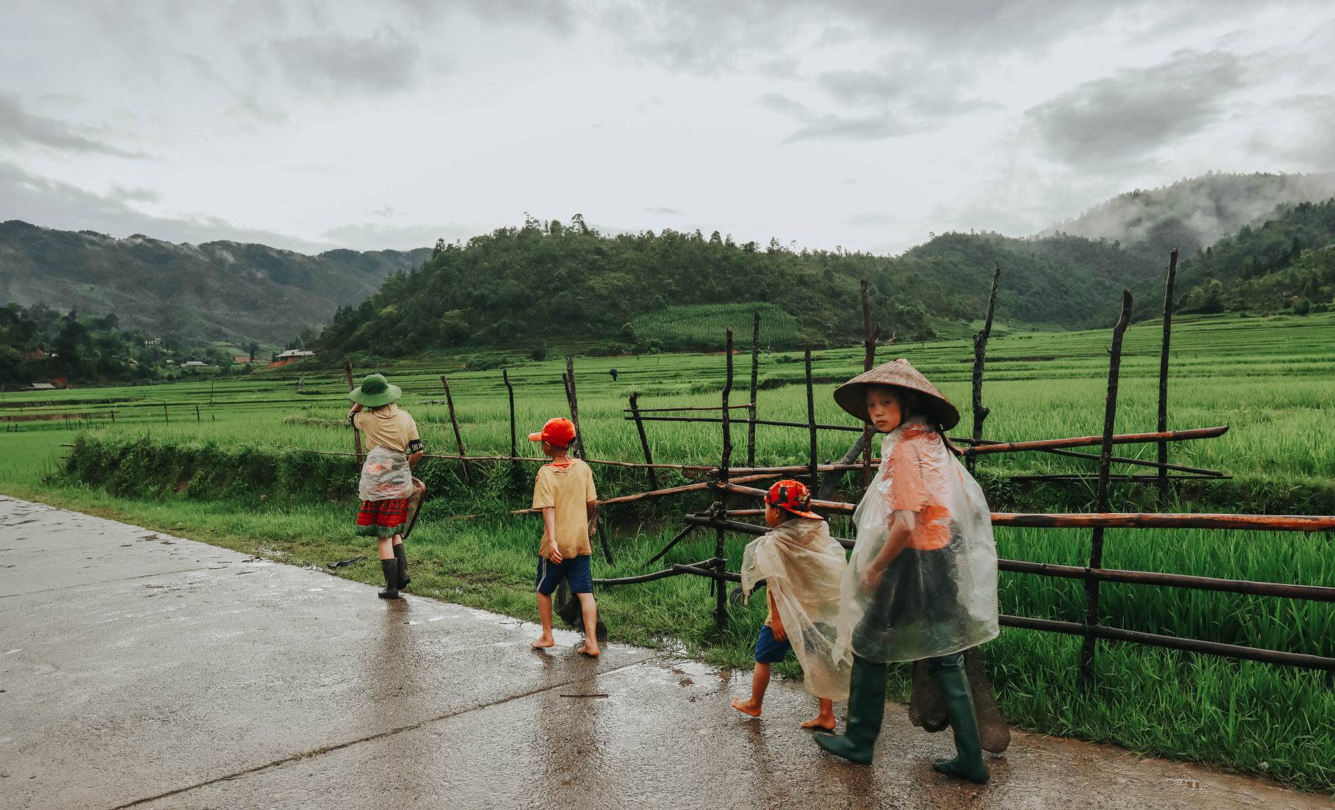 Sublime verdant terraced fields in northwestern Vietnam sublime verdant green terraced fields in northwestern vietnam